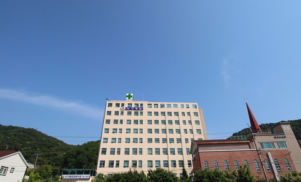 ��ȸ�� ����